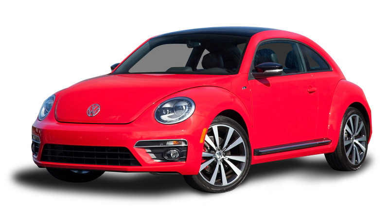 Beetle
