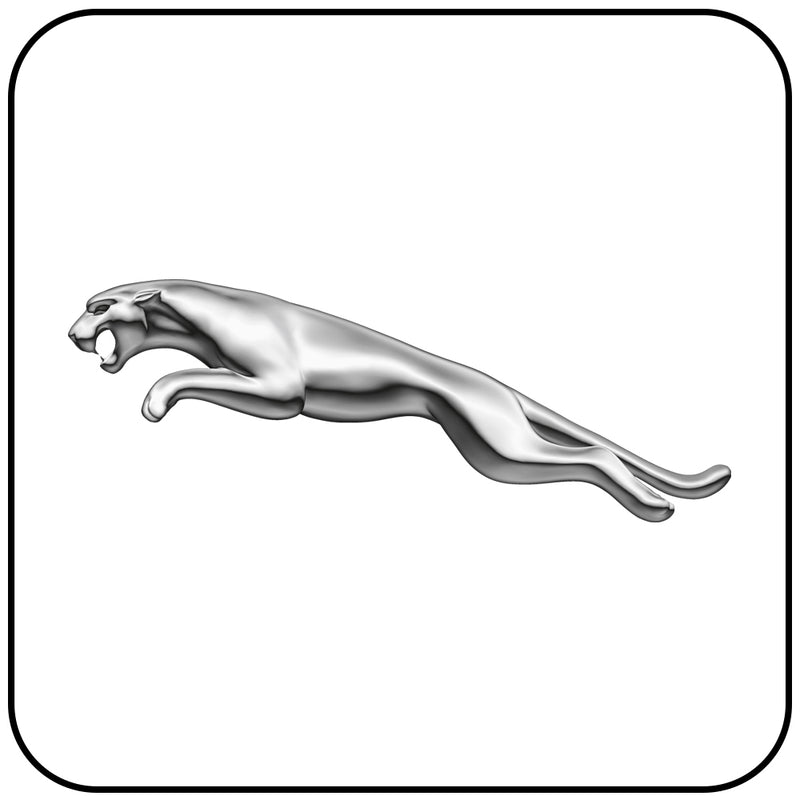 Jaguar Steering Interfaces