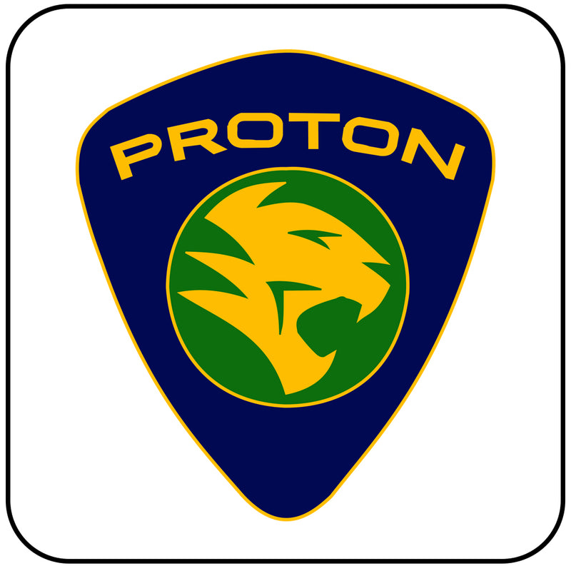 Proton Steering Interfaces