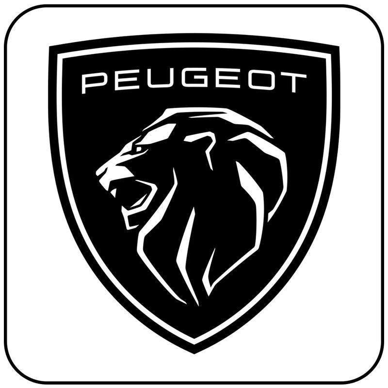 Peugeot Steering Interfaces
